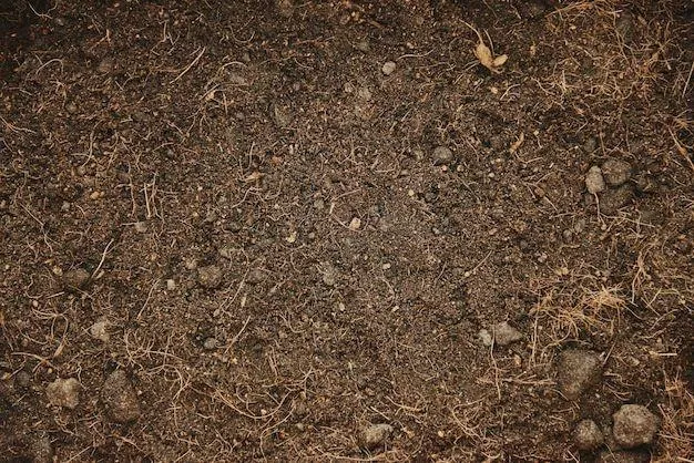 Soil Behavior Image